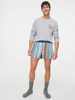 Festival Stripe Boxer Short -Pajama Shop 832880 multi back2 t scaled