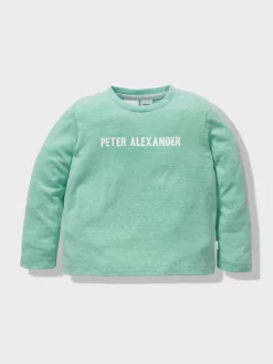 Boys Penny Stripe Pj Set -Pajama Shop 850745 multi back2 t scaled