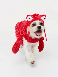 Lobster Dog Costume
