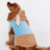Peter Rabbit Dog Hoodie